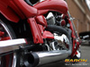 Wild Cherry Motorcycle Wallpaper