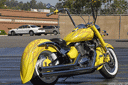 Screaming Yellow Zonker